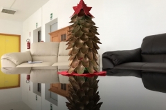 rsa_mottafollone_mostra_arte_terapy_albero_natale_cucchiali_plastica