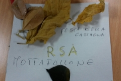 rsa_mottafollone_copertina_festa_della_castagna_ricordi