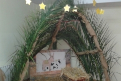 PRESEPE VIVENTE (20)